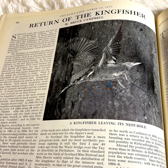 COUNTRY LIFE MAGAZINE VINTAGE WILD LIFE NUMBER ENGLAND April 1971 - Picture 10 of 12